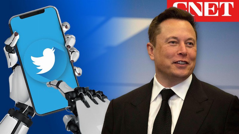 Elon Musk Vs. Twitter Bots: Why It's A Problem