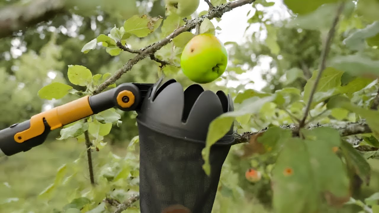 image 0 Incredible Gardening Inventions That Are On Another Level