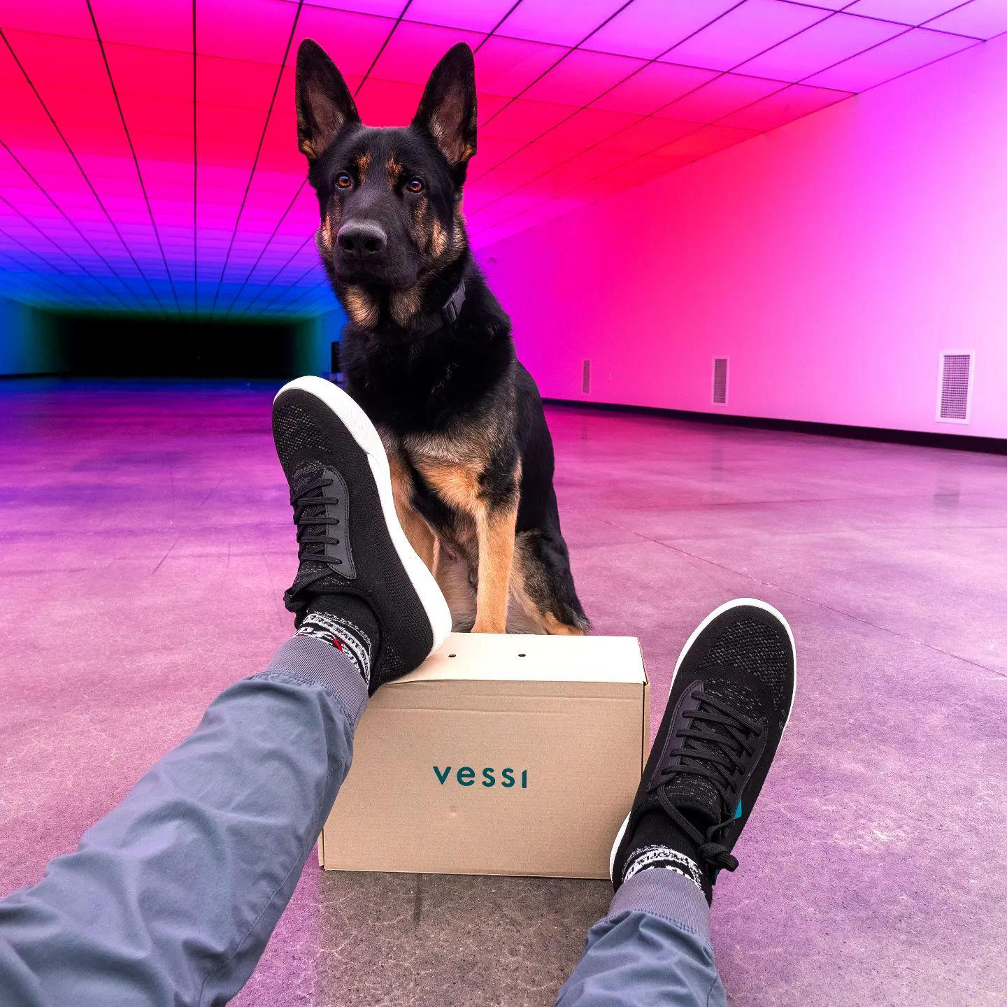 image  1 Lewis Hilsenteger - #vessi waterproof sneakers are up to 40% off for Black Friday