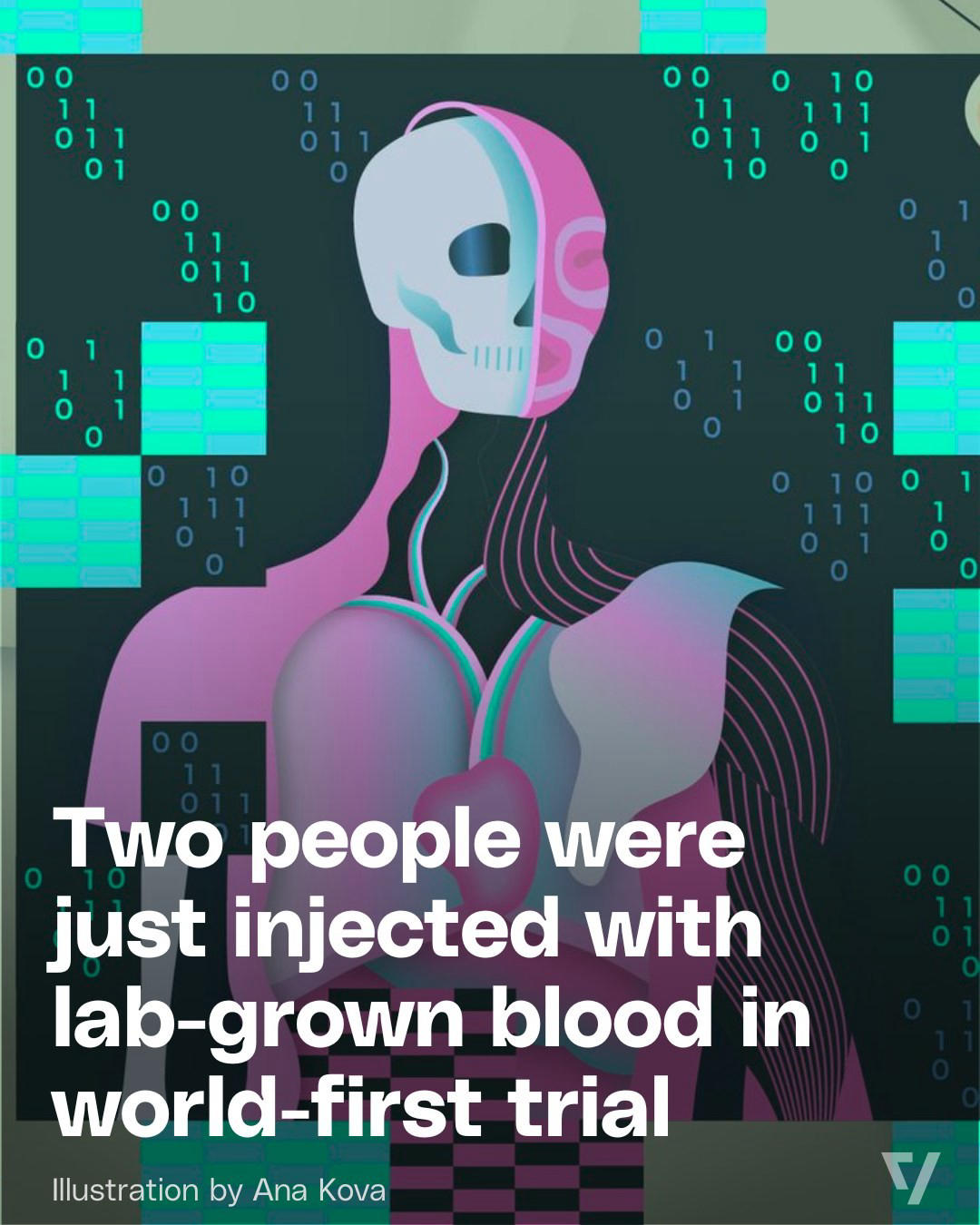 image  1 The Verge - In a world first, two people were injected with red blood cells grown in a lab as part o