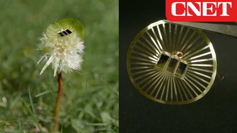 image 0 These Tiny Sensors Ride The Wind Like Dandelion Seeds